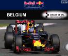 Даниэль Риккардо, второе место в Гран Гран-при Бельгии 2016 пилотирование его Red Bull
